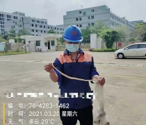 蛇患防控