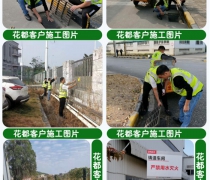 蛇患知识培训