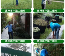 蛇患知识培训