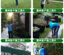 蛇患知识培训